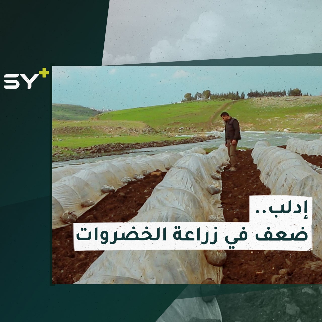 صعوبات تواجه زراعة الخضروات في ريف إدلب الغربي