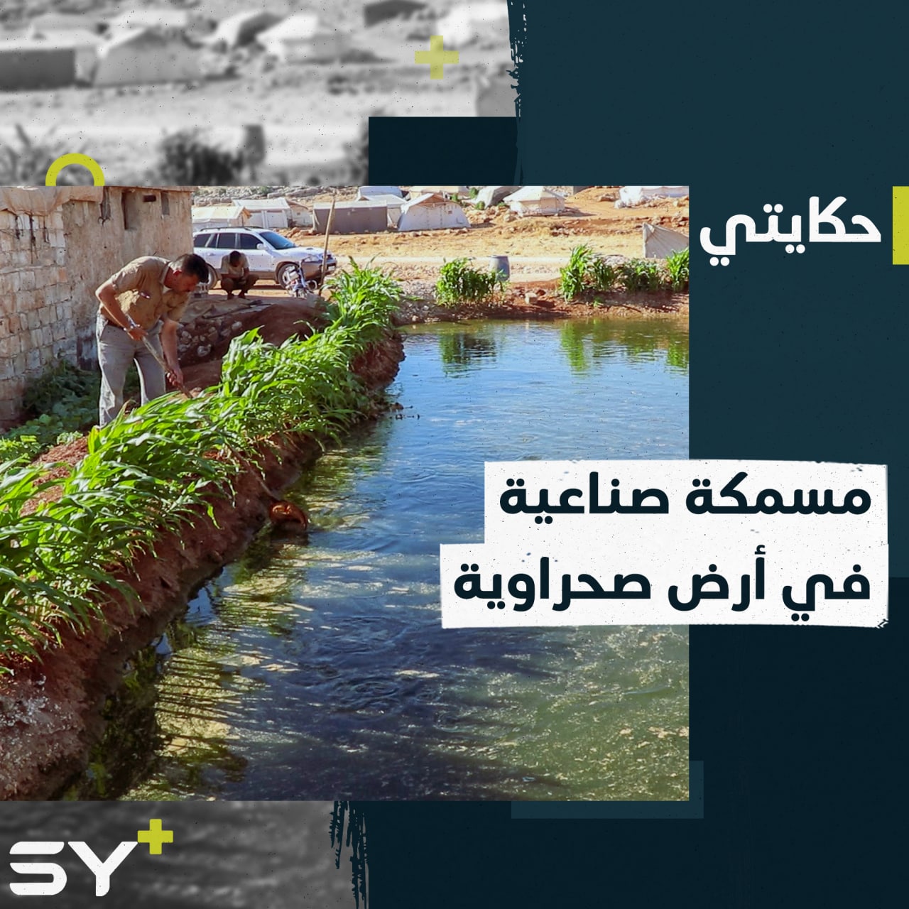 تجربة جديدة في أرض صحراوية يطلقها عمر الحلبي لتربية أسماك السلور في إدلب