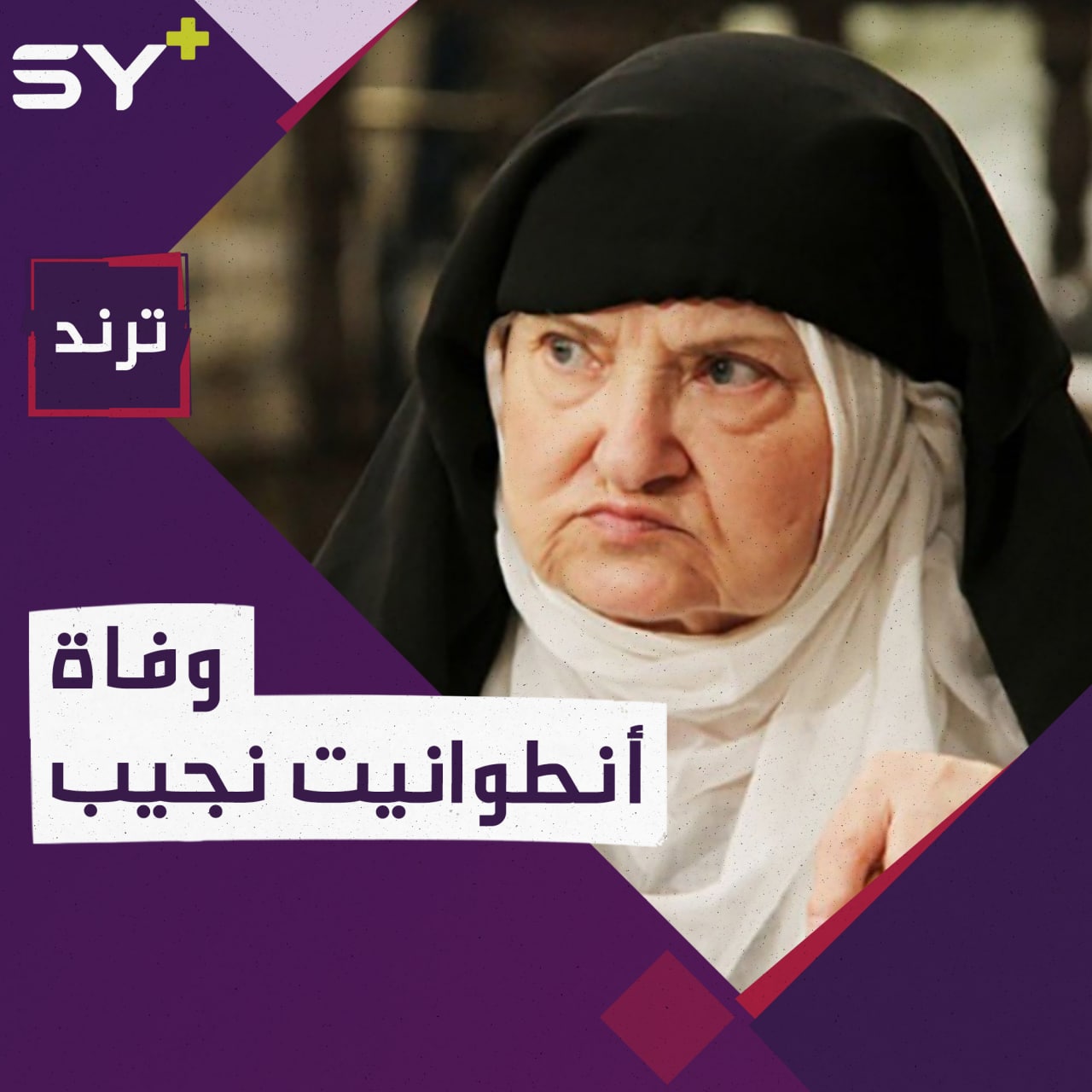 دعمت النظام السوري حتى النهاية.. ماذا تعرفون عن الممثلة أنطوانيت نجيب