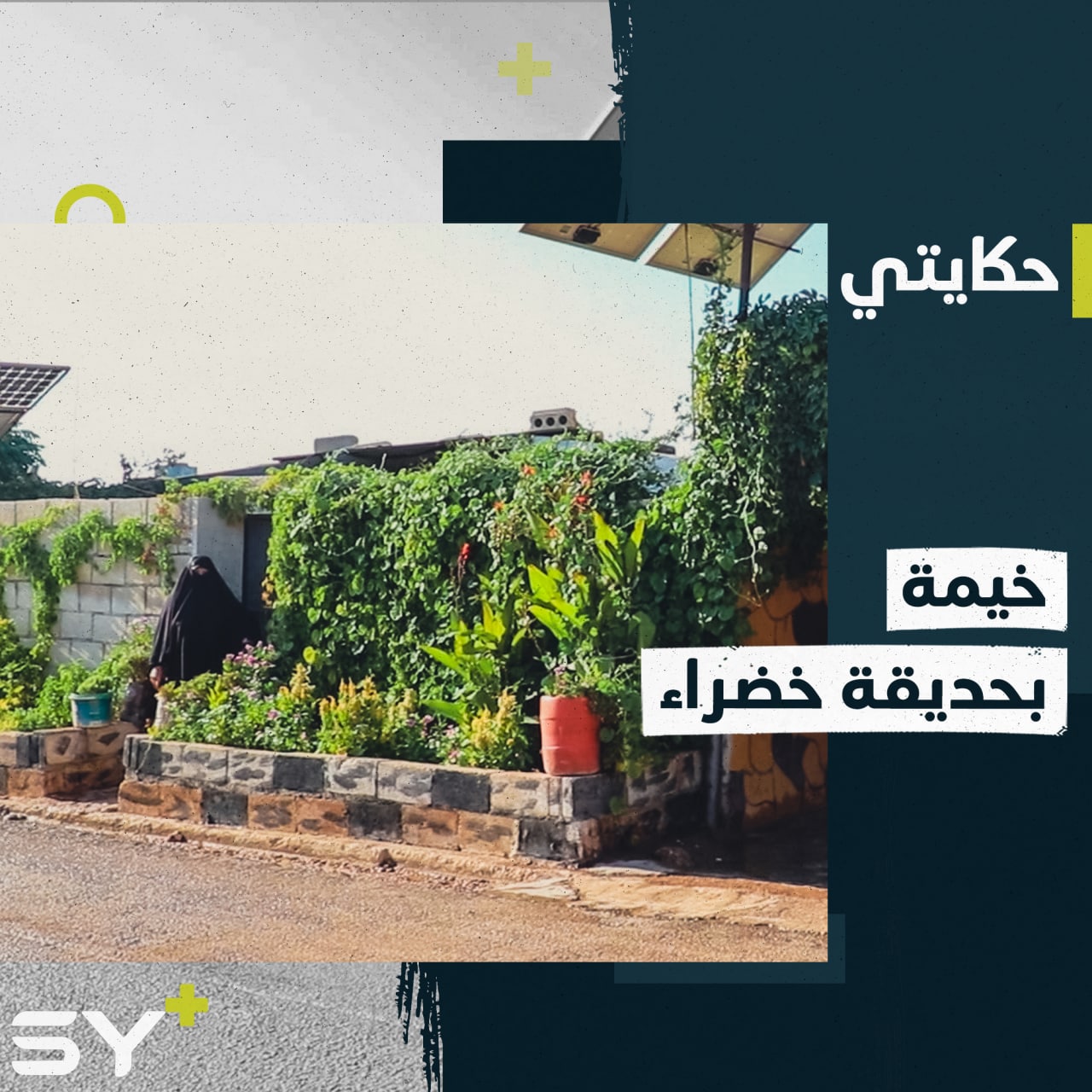 أحمد قويسم مهجر من ريف حماة يحول خيمته إلى حديقة خضراء مفعمة بالحياة بريف إدلب