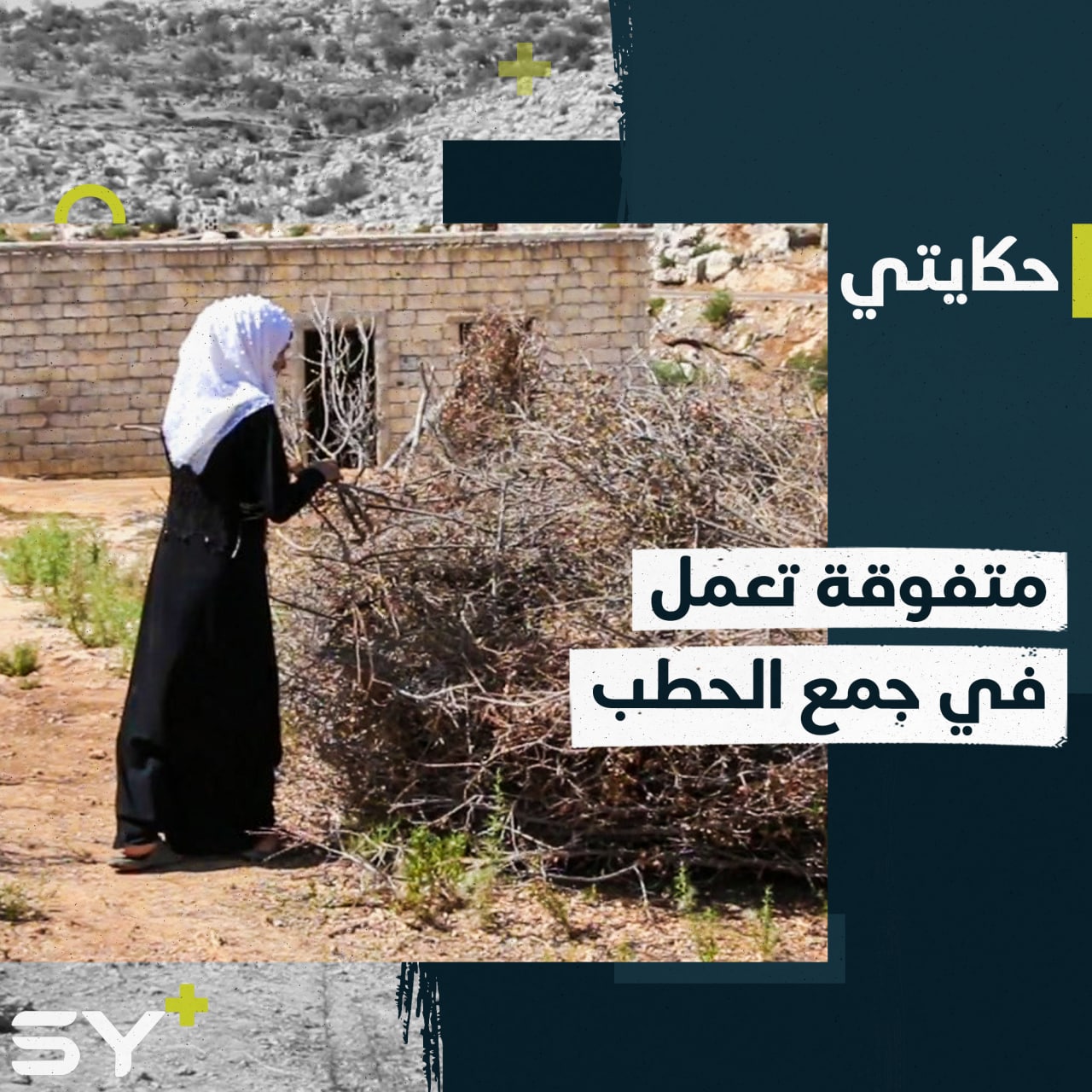 تجوب الجبال بحثاً عن الحطب رغد محمد طالبة جامعية تعمل في جمع الحطب لإعالة أسرتها