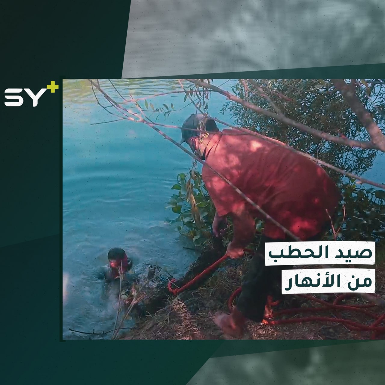 لحماية البيئة ومصدر رزق.. استخلاص جذوع الأشجار من قاع نهر العاصي