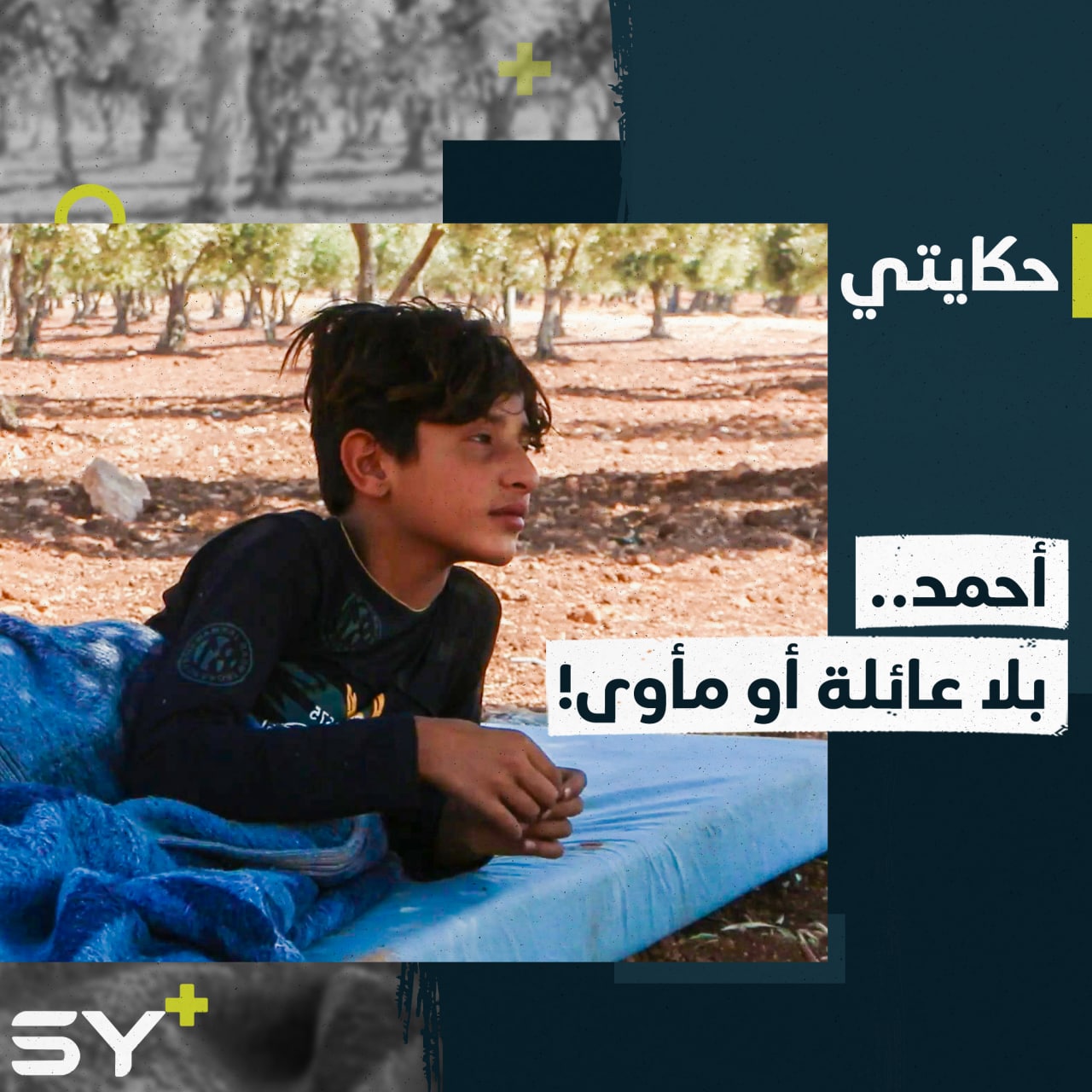 هُجّر وحيداً لينتهي به المطاف بين أشجار الزيتون بلا مأوى.. تابعوا قصة الطفل أحمد