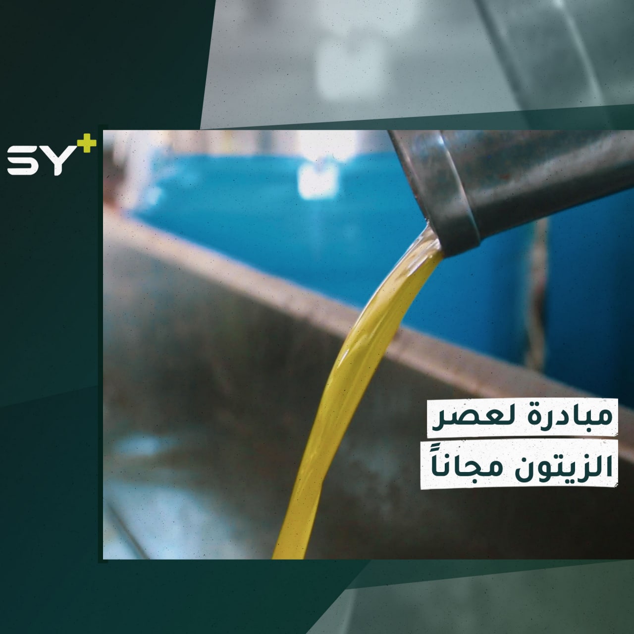 بهدف تخفيف العبء عن المزارعين.. معصرة زيتون تعمل مجاناً بريف إدلب