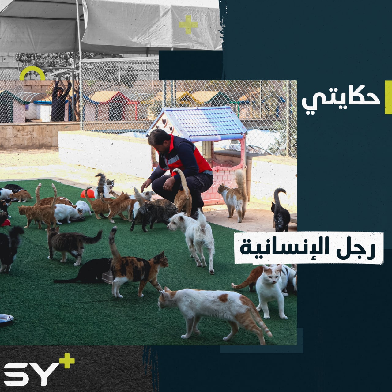 محمد الجليل مسعف ويعتني بعشرات الحيوانات الضالة في مأوى خاص