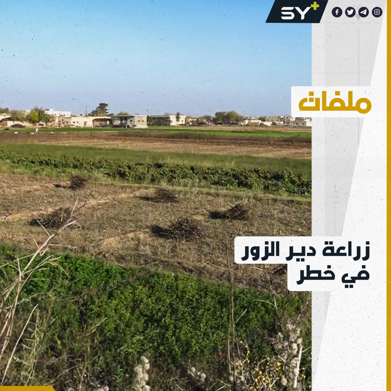 المزارعون يشتكون من قلة دعم القطاع الزراعي في ريف دير الزور