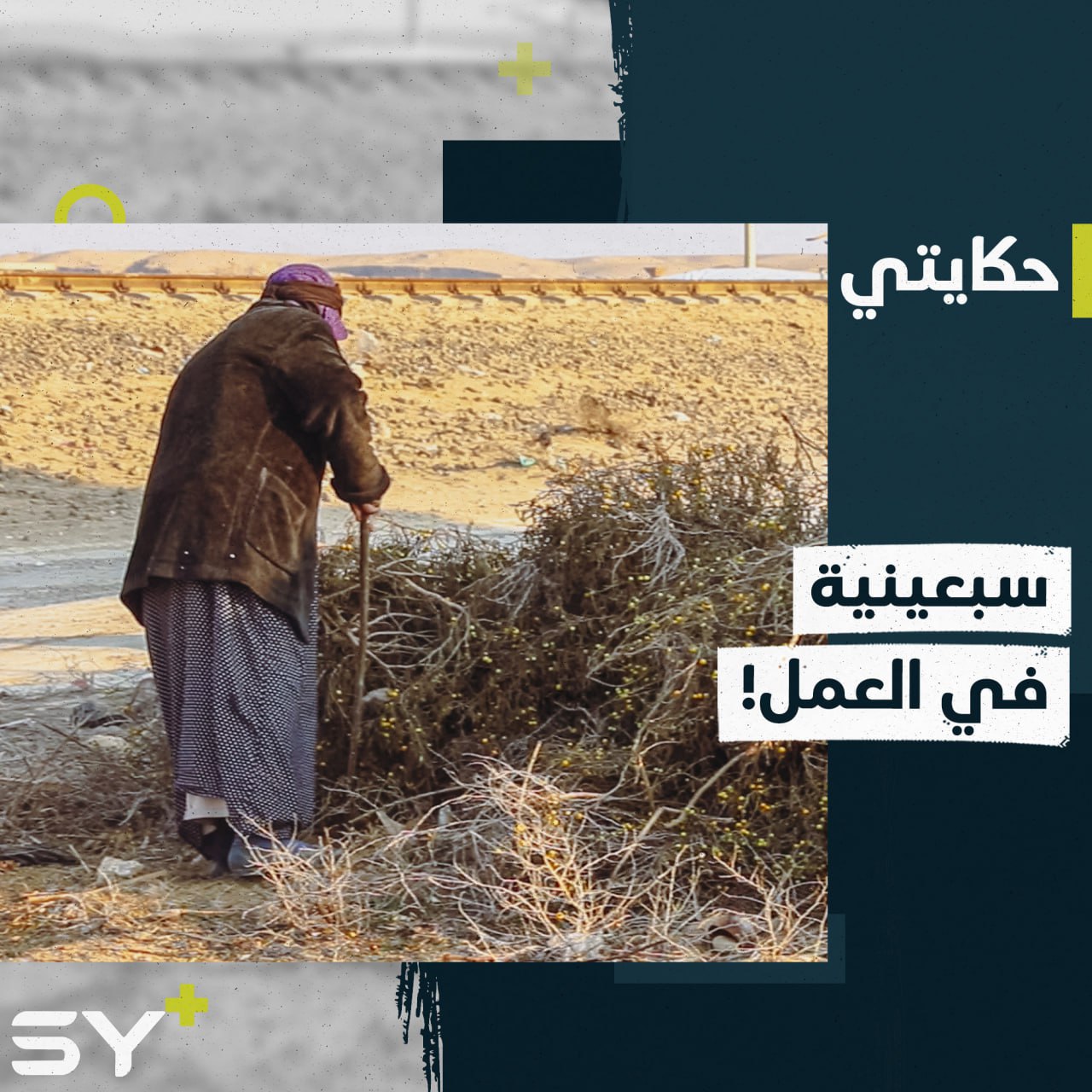 وطفة.. سيدة سبعينية تعمل برفقة ابنتها لمواجهة ظروف الحياة