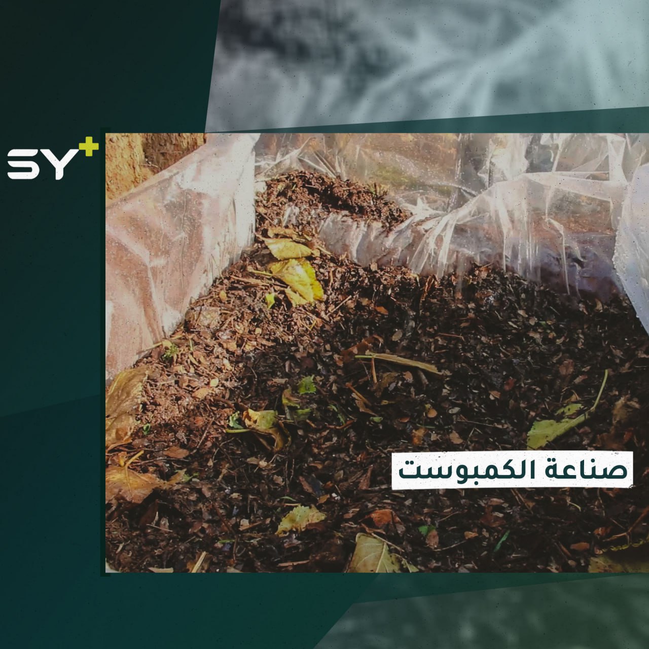 سماد عضوي يصنعه محمد بطريقة التخمير بريف إدلب