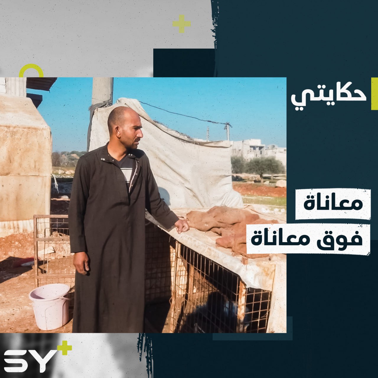 حيلتهم هذه الدجاجات.. كيف دفعهم التهجير إلى حافة الفقر؟