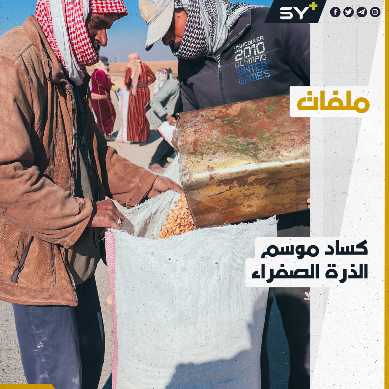 مزارعو الذرة الصفراء في الرقة يشتكون من غلاء تكاليف مواسمهم الزراعية