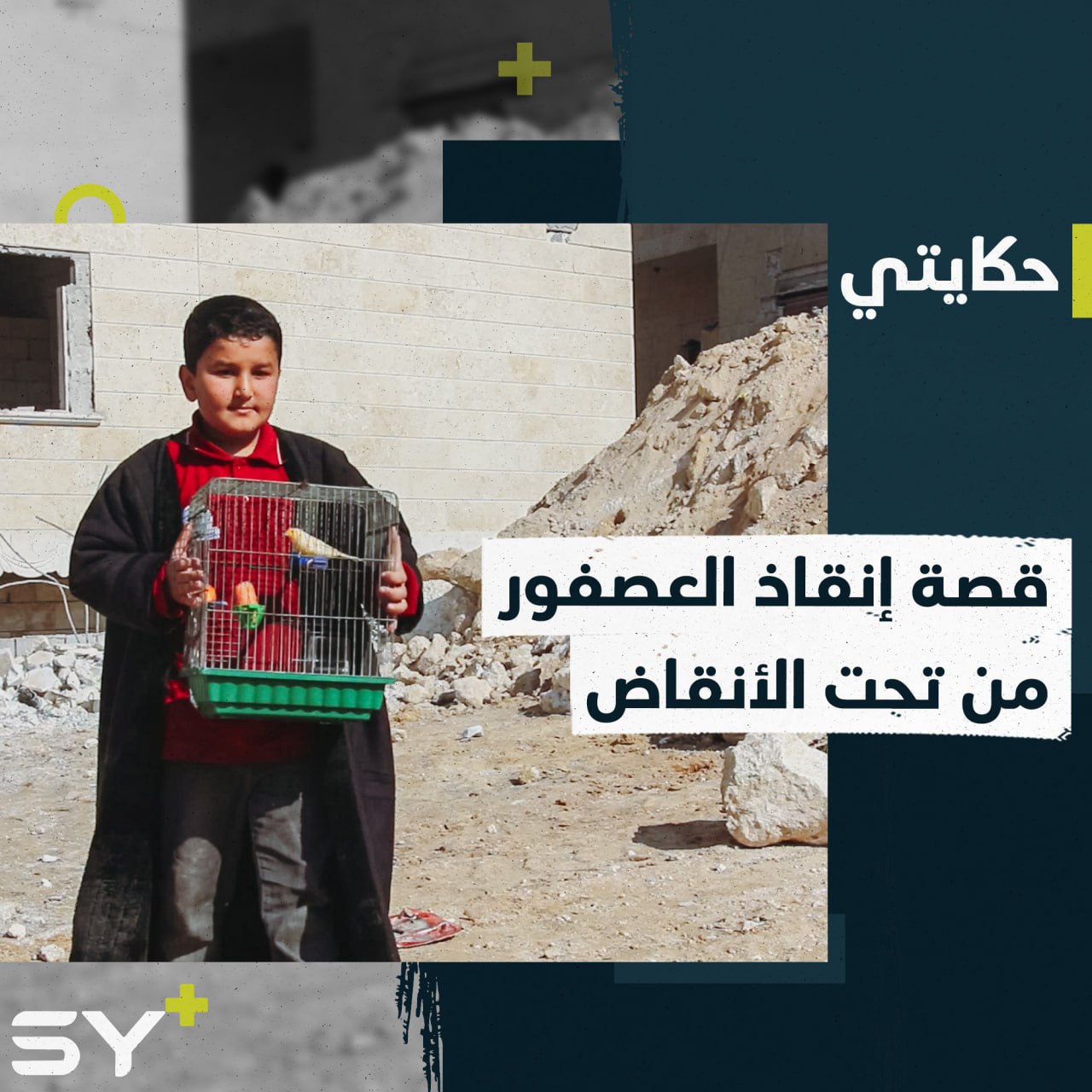 العصفور هو كل ما تبقى لـ علي من ركام منزله بعد الزلزال المدمر