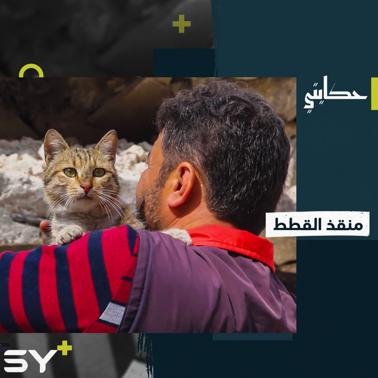 محمد الجليل مُسعف يعمل على إنقاذ القطط المتضررة من الزلزال