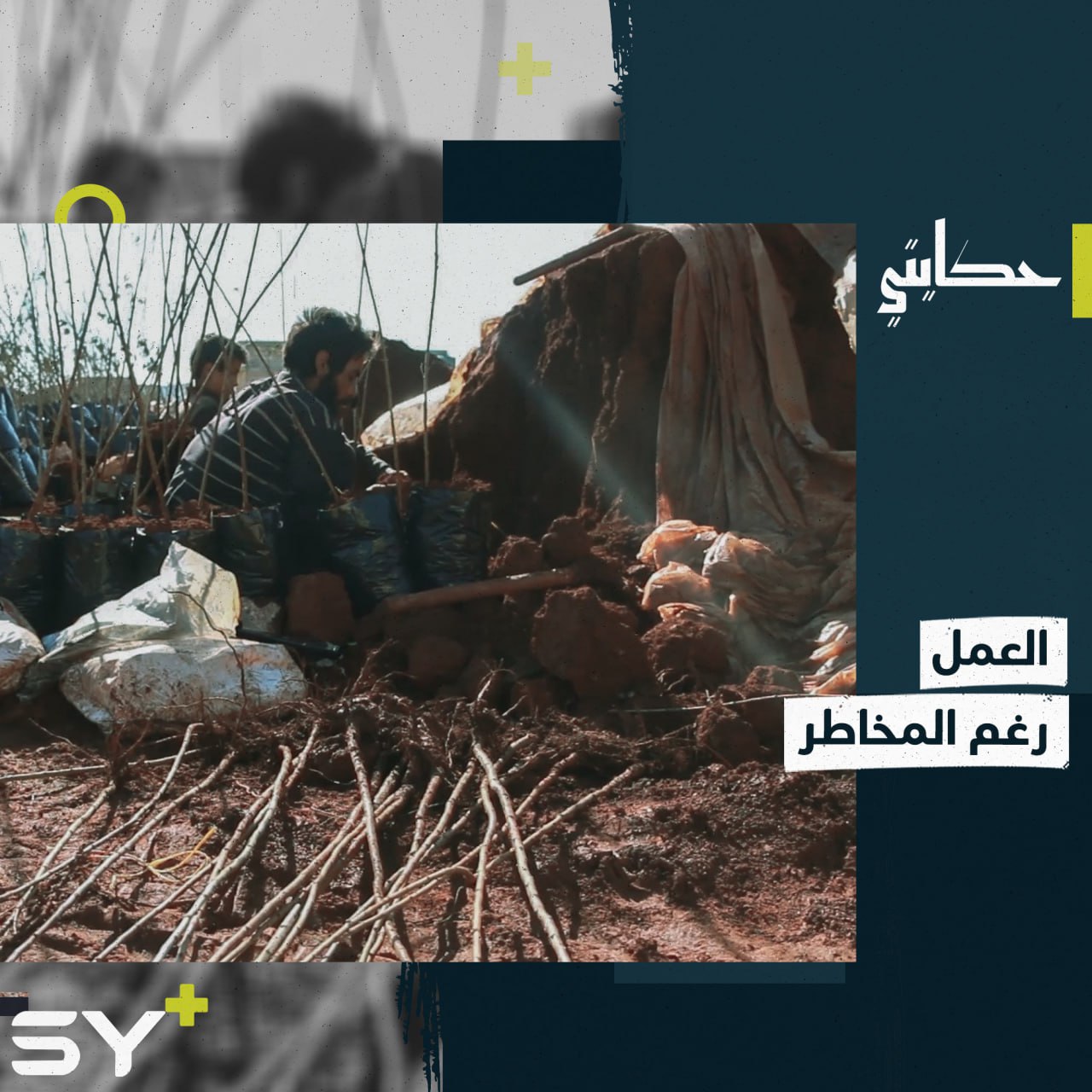 حسن الراعي مزارع من ريف إدلب يحافظ على مهنته رغم المخاطر