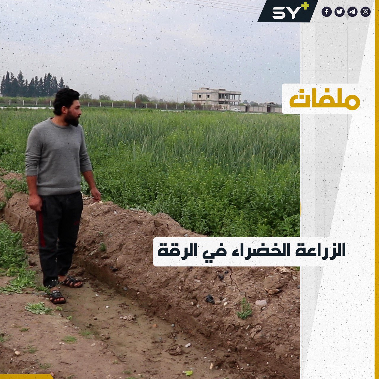 أملٌ جديد بموسم وفير يستعدّ له مزارعي مدينة الرقة