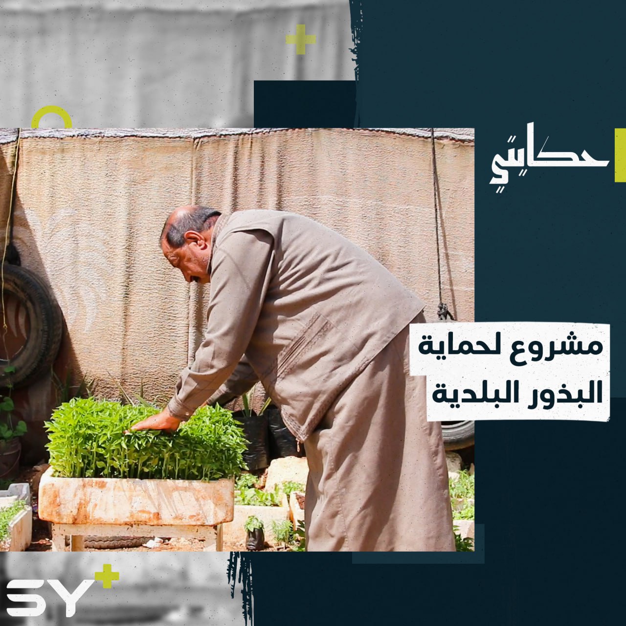 مهندس يطلق مشروعاً لدعم الزراعة والمحافظة على البذور البلدية