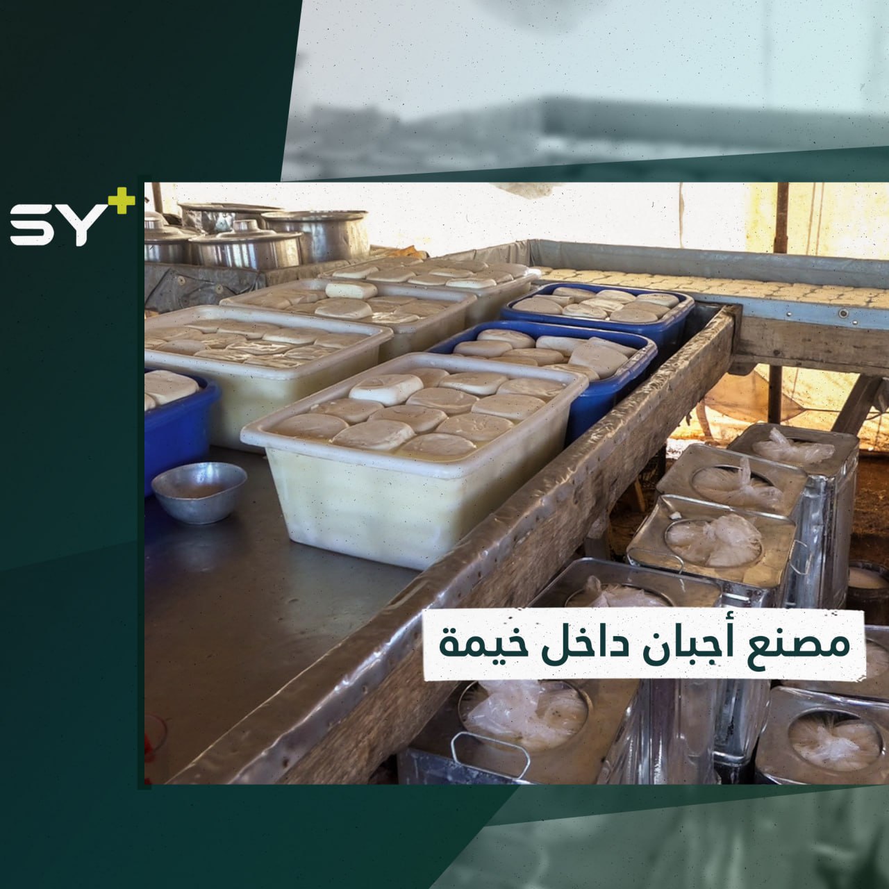 عبد الكريم مهجّر ينجح في إدارة مشروعه الخاص داخل خيمة بسيطة 