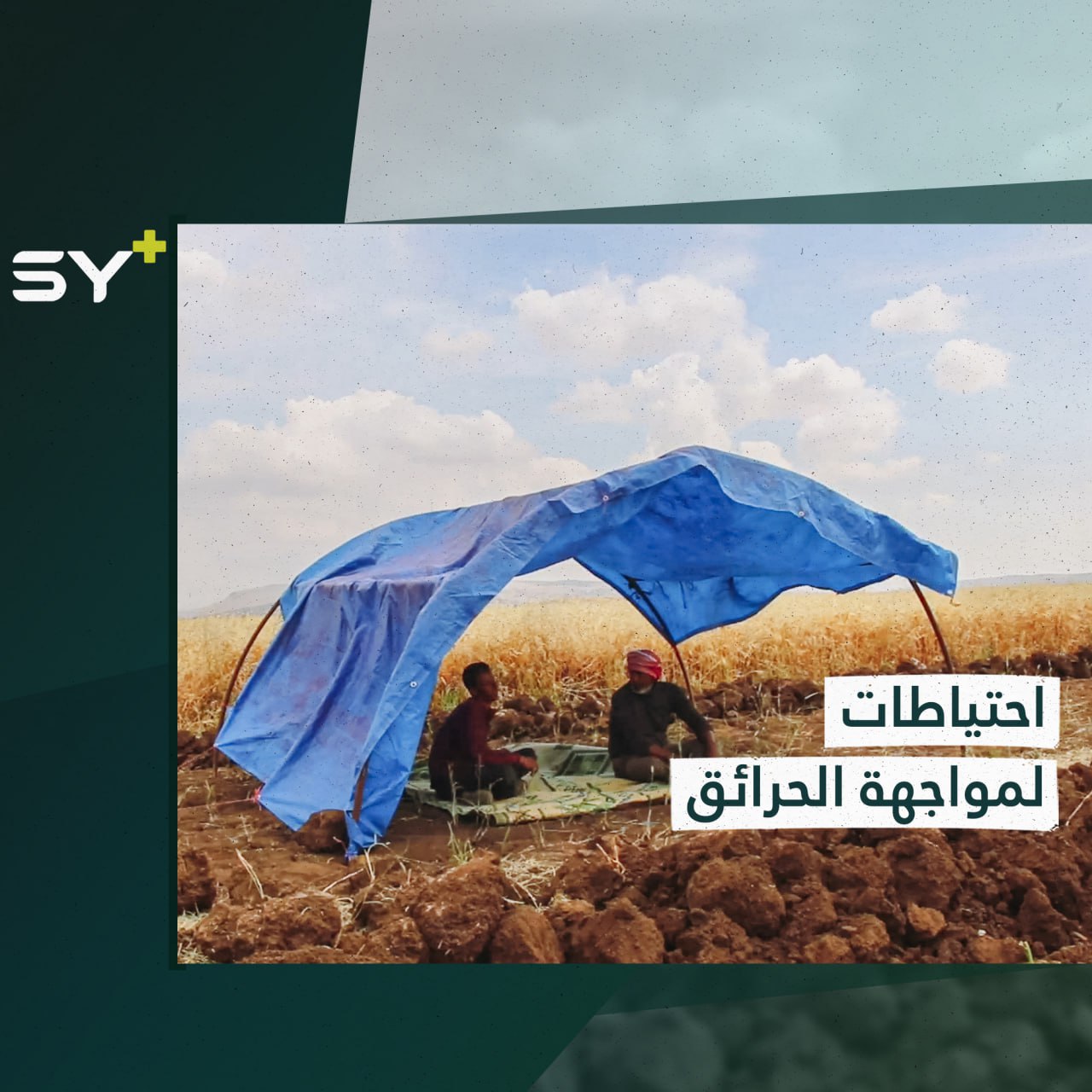 مزارعون بريف إدلب ينصبون خيمهم بالقرب من المزروعات لمواجهة الحرائق