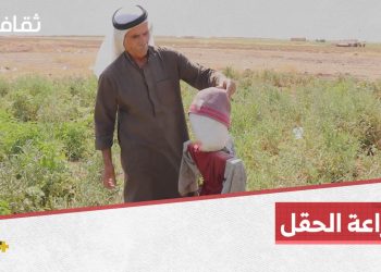 الفزاعة.. حيلة من المزارعين لحماية حقولهم، فماذا تعرفون عنها؟