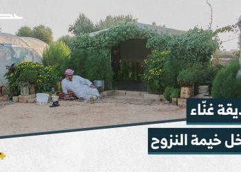 أبو أحمد نازح يحوّل خيمته إلى حديقة وارفة