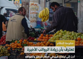 زيادة الرواتب تضاعف الأسعار في مناطق النظام