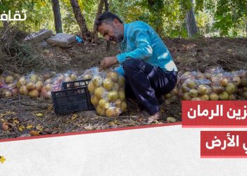 طريقة قديمة لتخزين الرمان لا تزال حاضرة في بلدة دركوش