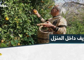 نضال مزارع حول حديقة منزله لمزرعة غنّاء تكللها الأشجار والنباتات المتنوعة