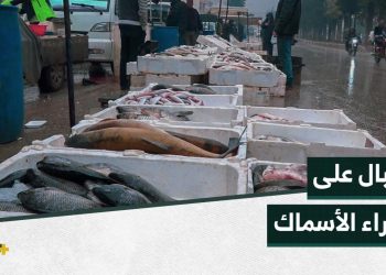 مع ارتفاع أسعار اللحوم.. إقبال كبير لأهالي مدينة إدلب على شراء الأسماك