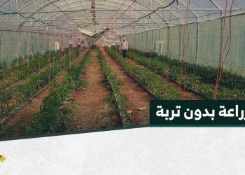“الهيدروبونيك” نظام زراعي جديد لدعم المزارعين في عفرين