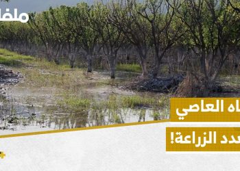 فيضان نهر العاصي يتسبب بخسائر كبيرة للمزارعين