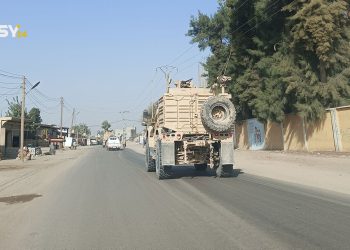 خاص SY24
