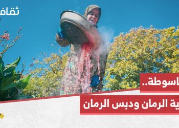 الباسوطة.. أرض الرمان ودبس الرمان المصنوع بأيدي نساء القرية
