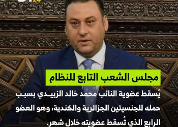 نائب جديد يفقد عضويته في مجلس الشعب