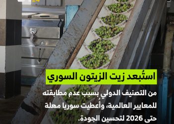 زيت الزيتون السوري خارج التصنيف الدولي