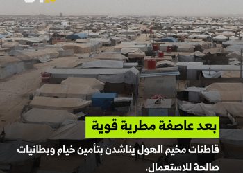 نداء من مخيم الهول