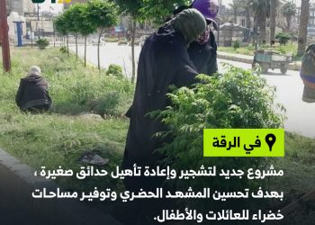 مشروع جديد لتشجير حدائق الرقة
