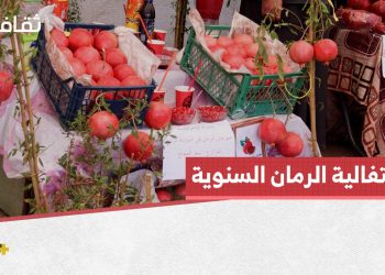 احتفالات تراثية في السوسة بموسم الرمان السنوي بشرق سوريا