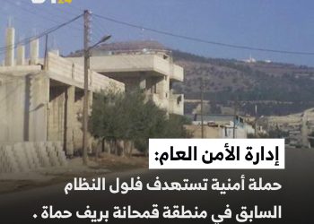 حملة أمنية ضد فلول النظام السابق في قمحانة