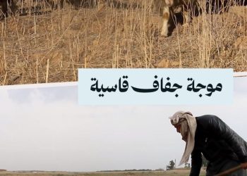 جفاف دير الزور، الأرض القاحلة تهدد الثروة الزراعية والحيوانية