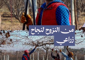 من حلب إلى الرقة، قصة نجاح شاب تحدى النزوح وأثبت نفسه
