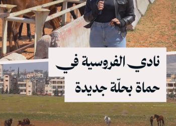 خيول أصيلة وإدارة طموحة.. جولة في نادي الفروسية بمدينة حماة