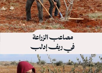 محاولات من الأهالي العائدين إلى ريف إدلب لزراعة أراضيهم بعد نهب أشجارها