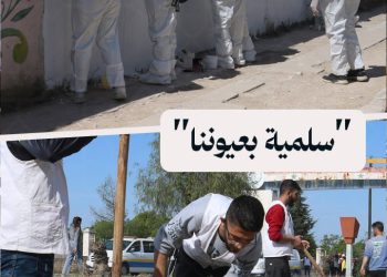 حملة لتزيين مدينة السلمية وإزالة رموز النظام السابق