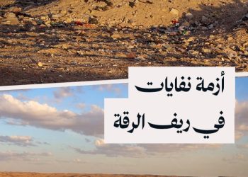 كلاب شاردة تُلحق الأضرار بالمواشي بسبب تجمع نفايات ضخم بريف الرقة