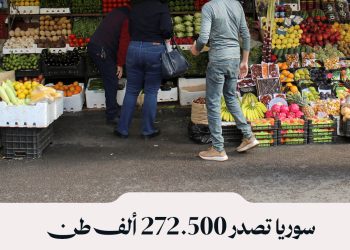 سوريا تصدر 272.500 ألف طن من الخضار والفواكه لدول الخليج خلال شهرين