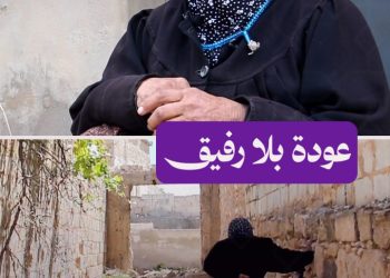 بعد نزوح شاق طويل، أم محمد ترثي شريك عمرها في بيتها المدمر