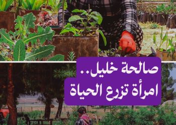 صالحة خليل.. قصة كفاح وصمود لأم تعمل في زراعة الورود لتأمين قوت أطفالها بمدينة عين العرب بريف حلب