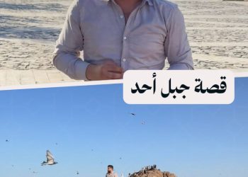 من قلب المدينة المنورة… مراسلنا يصعد جبل أُحد ويحكي الحكاية