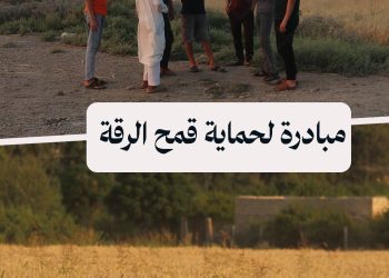 فريق شبابي يتطوع لحماية حقول القمح من الحرائق في الرقة