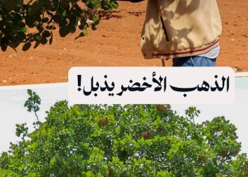 الذهب الأخضر في خطر، مزارعو الفستق يواجهون المصير وحدهم