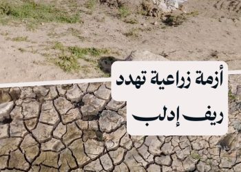 تشققات الأرض والجفاف بعد زلزال 2023 يهددان الزراعة في ريف إدلب